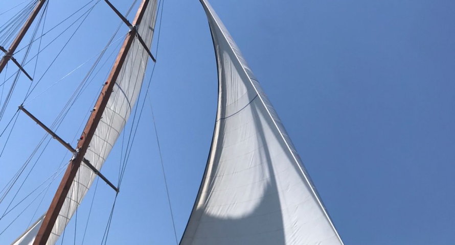 18b La Reine sailing 2022 2